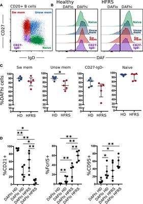 Regulation of Decay Accelerating Factor Primes Human Germinal Center B Cells for Phagocytosis